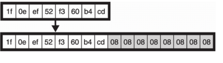 image-20220728222106541